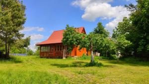 ein orangefarbenes Haus auf einem Feld neben einem Baum in der Unterkunft Agropensjonat Stręgielek in Stręgielek