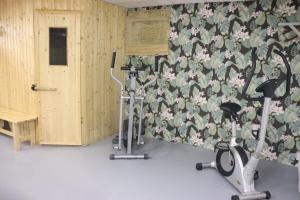 a gym with two exercise bikes and a wall at HOME 2201 in Gerasdorf bei Wien