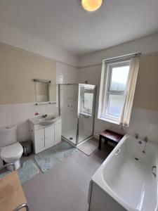 ein Bad mit einer Dusche, einem WC und einem Waschbecken in der Unterkunft Born Park in Bournemouth