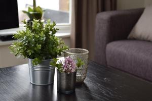 drie potplanten op een tafel naast een bank bij Holiday Inn 30 Oisterwijk # Award 2024 in Oisterwijk