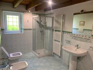 a bathroom with a sink and a shower and a toilet at Agriturismo Al Vecio Caselo (Casa Maga) in Arsiero