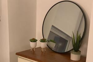 un espejo sentado sobre una mesa con dos plantas en Stunning seaside studio en Worthing