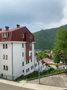 普盧日內的住宿－Apartment Varezić，一座白色的大建筑,有红色的屋顶
