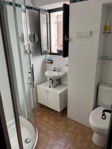 a bathroom with a shower and a sink and a toilet at Casa idrisi in Albuñuelas