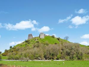 a castle on top of a hill in a field at Wren Cottage in Llandeilo