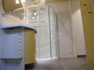 een badkamer met een douche en een glazen deur bij LE BUCHER in Montbéliard