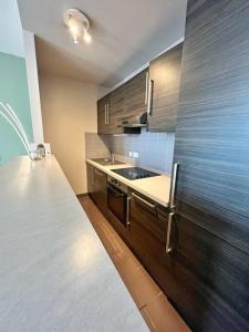 Η κουζίνα ή μικρή κουζίνα στο Le minage - Coeur de ville +3 φωτογραφίες