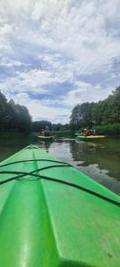 Przyroda w pobliżu tego domu wakacyjnego