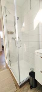 a shower with a glass door in a bathroom at 123 Zimmerfrei in Schoneck