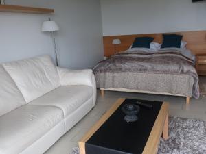 a living room with a couch and a bed at Hotel Laki in Kirkjubæjarklaustur