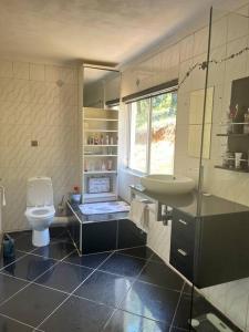 een badkamer met een wastafel en een toilet bij RaHa Soul Sanctuary - Entire Home in De Deur