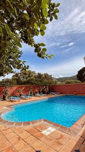カルヴィにあるRésidence ANTONIA Appartements avec piscine commune - centre ville Calviの庭の青い水のスイミングプール