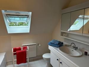 a bathroom with a sink and a toilet and a mirror at Cottage Vesqueville in La Hoguette