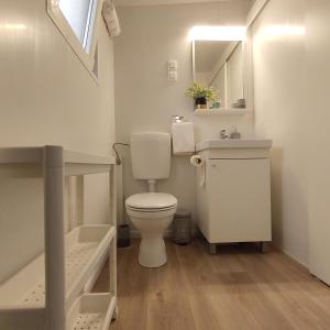 Baño pequeño con aseo y lavamanos en Royal R mobile homes, kamp Soline, Biograd en Biograd na Moru