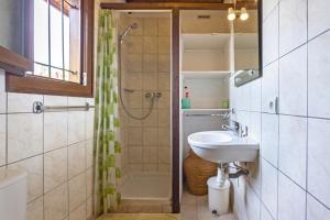 a bathroom with a sink and a shower at Petite Maison En Bois Exotique in Figari