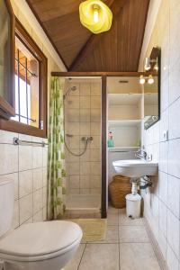 a bathroom with a shower and a toilet and a sink at Petite Maison En Bois Exotique in Figari