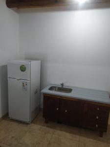 a kitchen with a sink and a white refrigerator at Departamentos Anchorena #6 in Ciudad Lujan de Cuyo