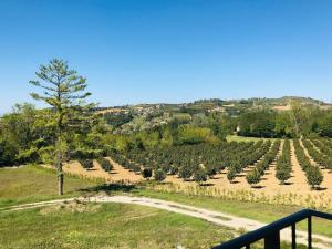 Paesaggio naturale nelle vicinanze della casa vacanze