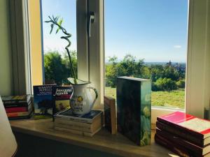 um peitoril de janela com livros e um vaso e livros em Country house in the Langhe with vineyard em Dogliani