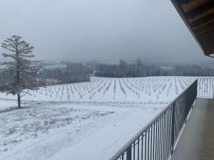 Country house in the Langhe with vineyard durante l'inverno