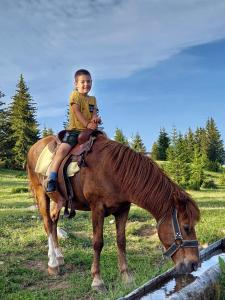 a young boy sitting on top of a horse at Cottage Uskoci in Žabljak