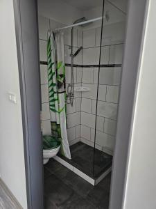 a bathroom with a shower and a toilet at Orchidea3 in Finkenstein