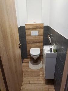 a bathroom with a toilet and a sink at Řehořův dům in Jihlava