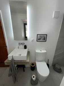 La salle de bains est pourvue de toilettes blanches et d'un lavabo. dans l'établissement Casa do Porto, à Madalena