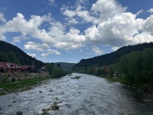 un río en un valle con casas y árboles en Carpathian Dream Apartments, en Yaremche