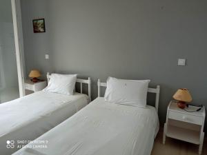 Postel nebo postele na pokoji v ubytování Angelik Ipsos no5