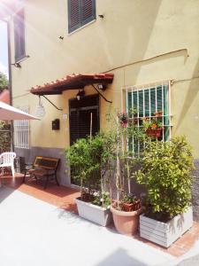 a patio with pots of plants in front of a building at Pierina in Lucca