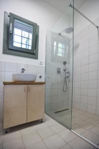 a bathroom with a sink and a glass shower at Admonis - Home in the olive grove in Melissátika +27 photos
