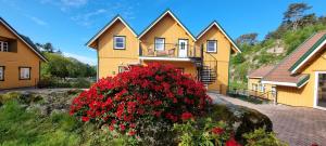 una casa gialla con fiori rossi davanti di Hausvikstranda a Lyngdal