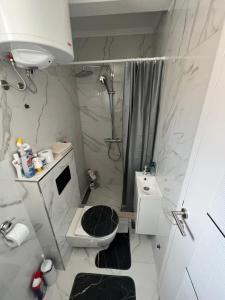 a small bathroom with a shower and a toilet at Apartman Bajo 1 in Foča