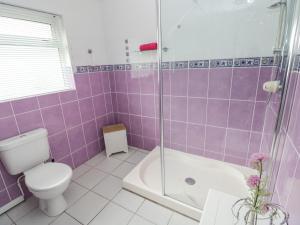 une salle de bain violette avec toilettes et douche dans l'établissement Ashdown House, à Saundersfoot 21 autres photos