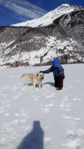 Imagen de la galería de Guesthouse MAMUKA zhabesh, en Zhabeshi 37 fotos más