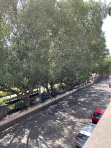 una calle con coches aparcados al lado de una carretera con árboles en City Hall en Catania