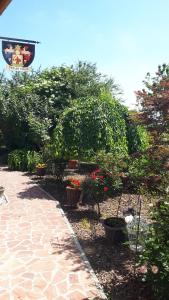 バラトンセペズドにあるFülöp Villa Apartmanházの鉢植えの植物や花が並ぶ庭園