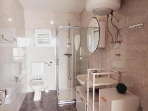 a bathroom with a shower toilet and a sink at Apartments Nikola Caska in Novalja