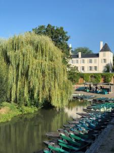 Une rangée de bateaux est alignée dans l'eau dans l'établissement Domaine de l'Angélique - Loft avec SPA privatif - Marais poitevin entre Niort et La Rochelle, à Arçais