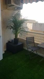 Apartamento Pepi Puerto (Adults Only)的阳台或露台