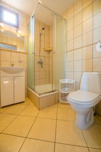 a bathroom with a toilet and a shower and a sink at DOMKI LUNA in Rowy +18 photos