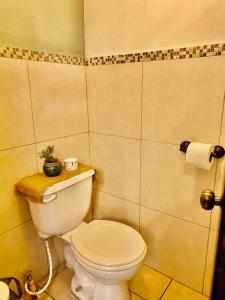 een badkamer met een toilet met een plant erop bij Cafeto Loft Lovely and private loft in Ruta de las Flores heart in Juayúa