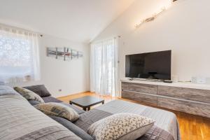 Televízia a/alebo spoločenská miestnosť v ubytovaní Apartman Atika