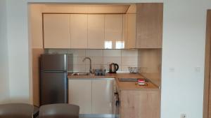 a kitchen with a refrigerator and a sink at Apartments Nikola Caska in Novalja