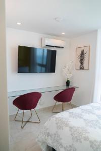 TV a/nebo společenská místnost v ubytování private ocean view studio apartment