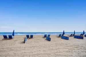 eine Gruppe von Stühlen und Sonnenschirmen am Strand in der Unterkunft Luxury Beachfront Studio with Daily c in Fort Lauderdale