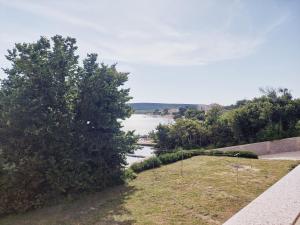 a view of a body of water with a tree at Apartments Nikola Caska in Novalja