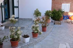 Giardino di Hotel Kalaja