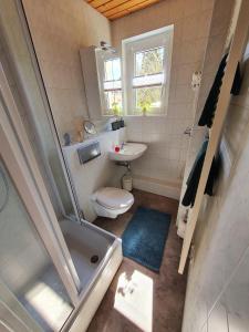 ein Bad mit einem WC, einem Waschbecken und einer Dusche in der Unterkunft Ferienwohnung Reichenbrand mit Stellplatz in Chemnitz